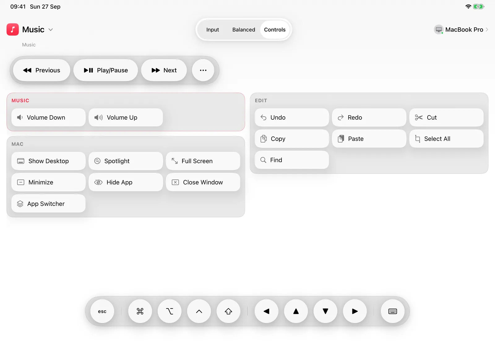 ControlPad for Music: Previous, Play/Pause and Next, plus volume