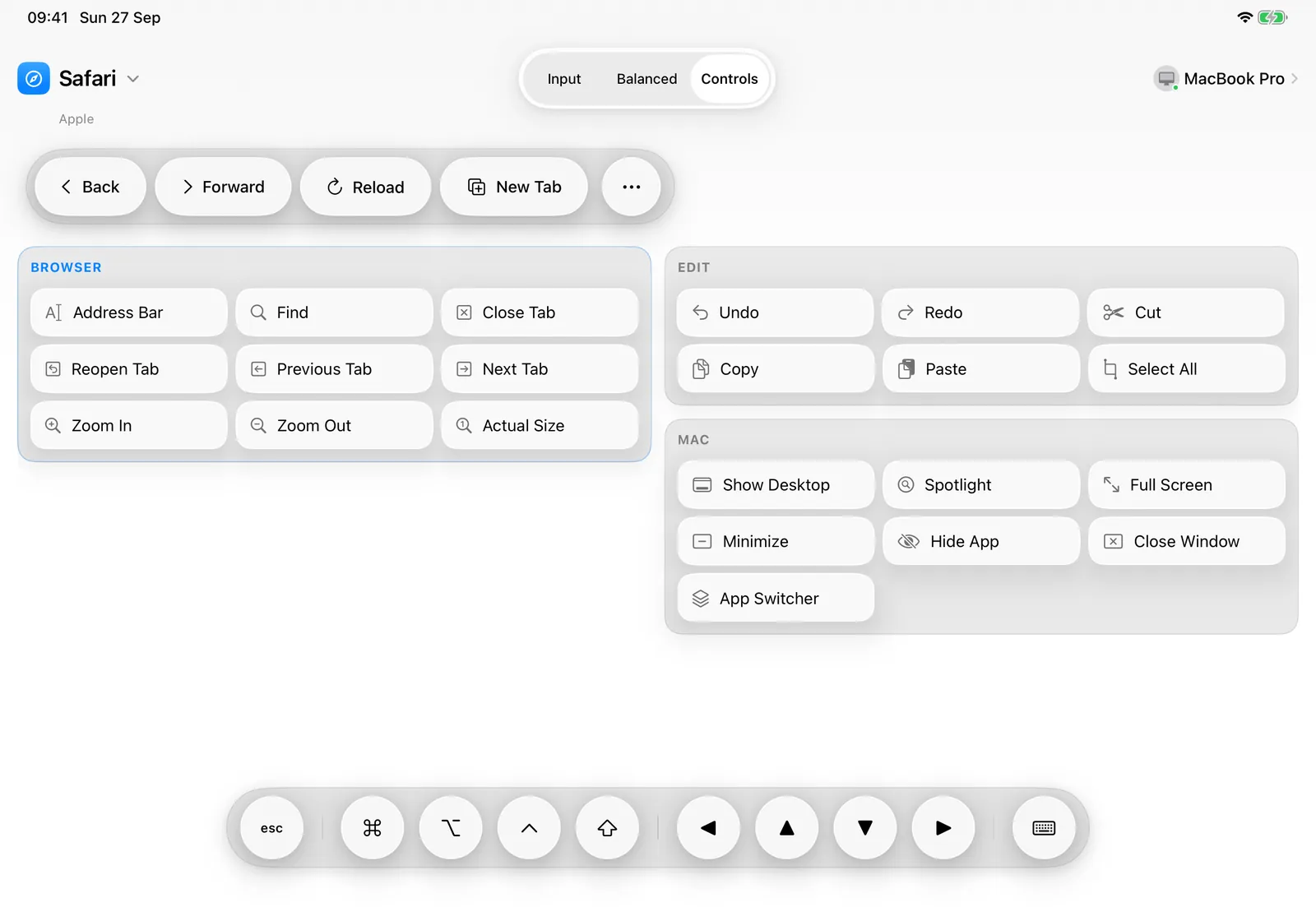 ControlPad on iPad in Controls layout, showing Safari's commands
